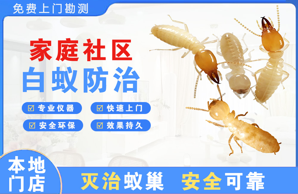潞西家庭社区白蚁防治