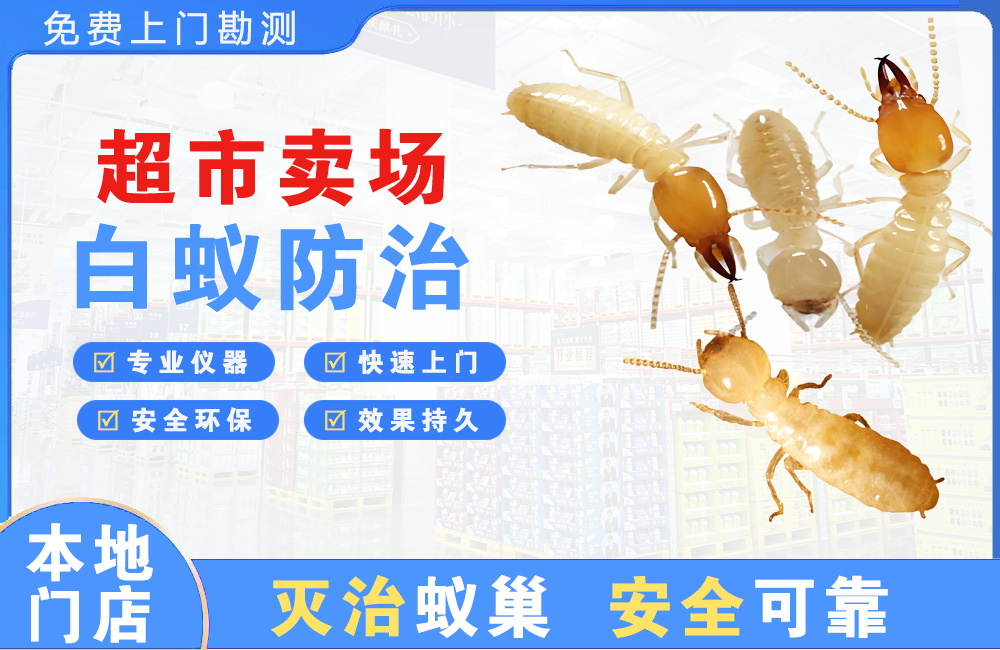 潞西超市卖场白蚁防治