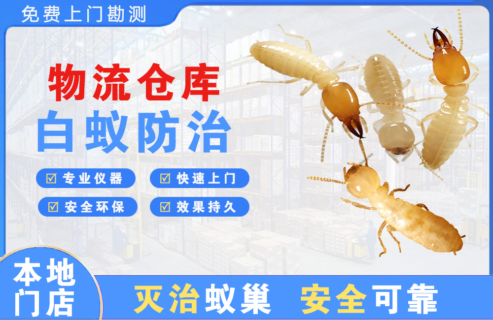 潞西物流仓库白蚁防治