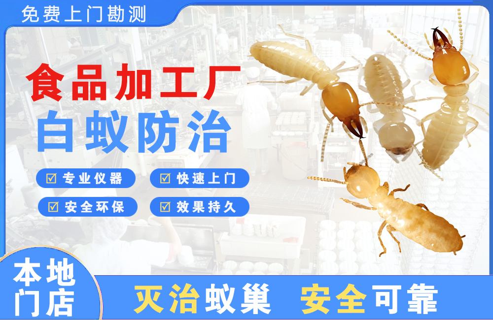 潞西食品加工厂白蚁防治