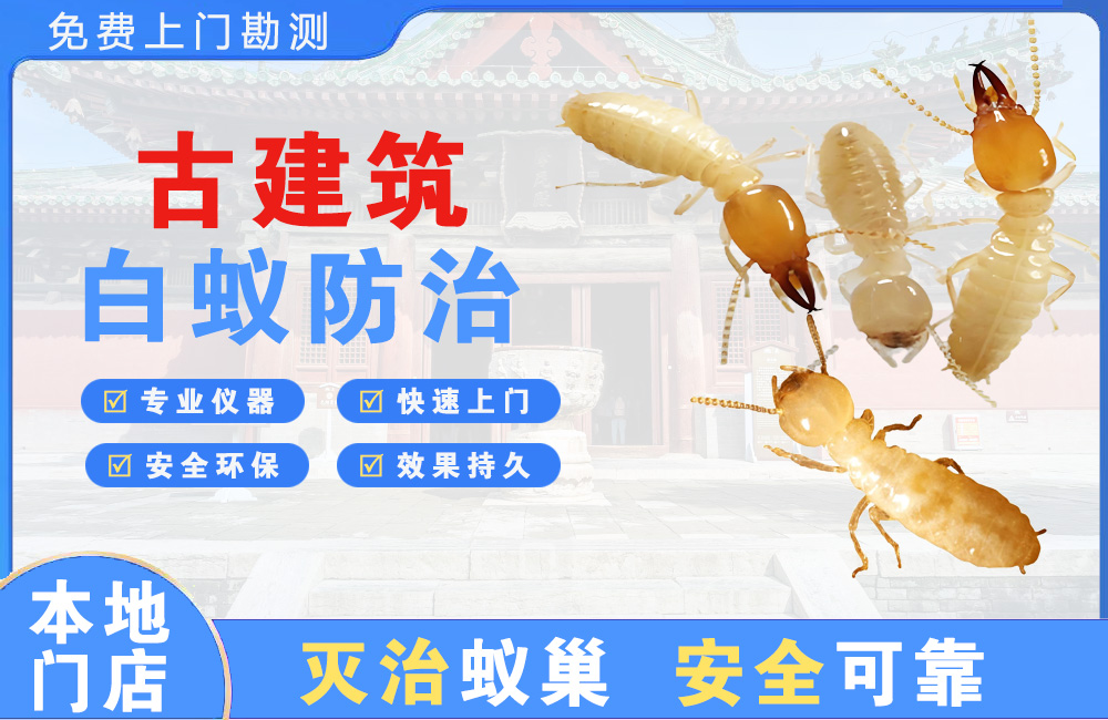 潞西古建筑白蚁防治