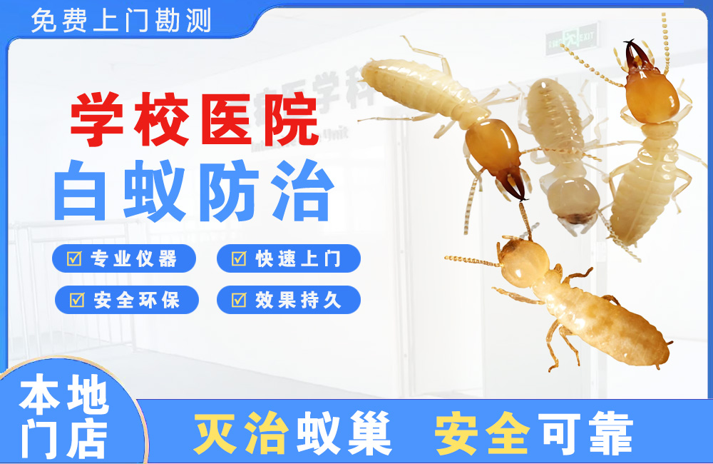 潞西学校医院白蚁防治