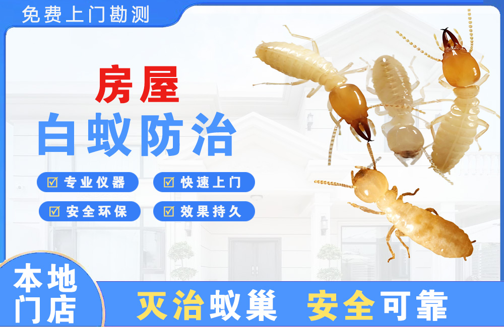 潞西房屋白蚁防治