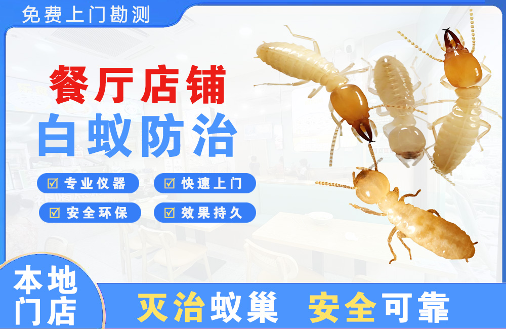 潞西餐厅店铺白蚁防治